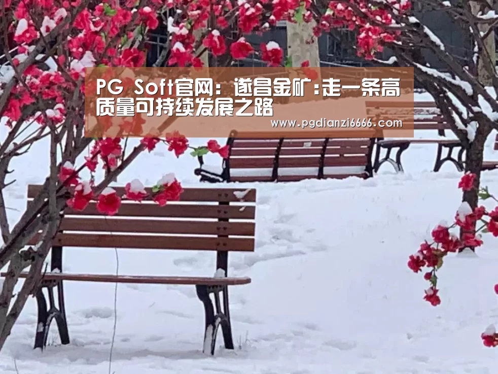 PG Soft官网：遂昌金矿:走一条高质量可持续发展之路