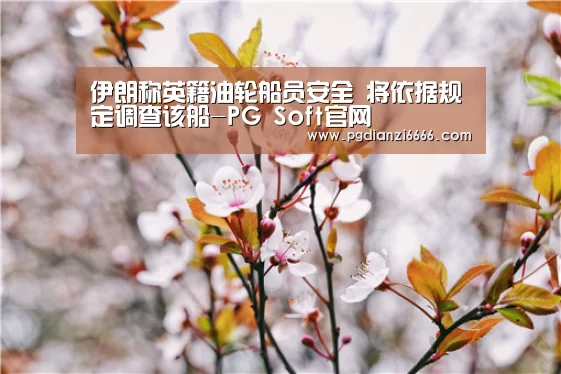 伊朗称英籍油轮船员安全 将依据规定调查该船-PG Soft官
