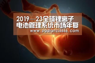 2019—23全球锂离子电池管理系统市场年复合增26%“PG
